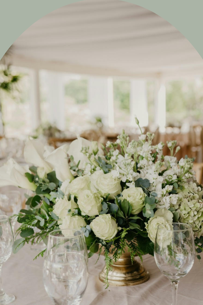 organização de eventos - C&T Eventos